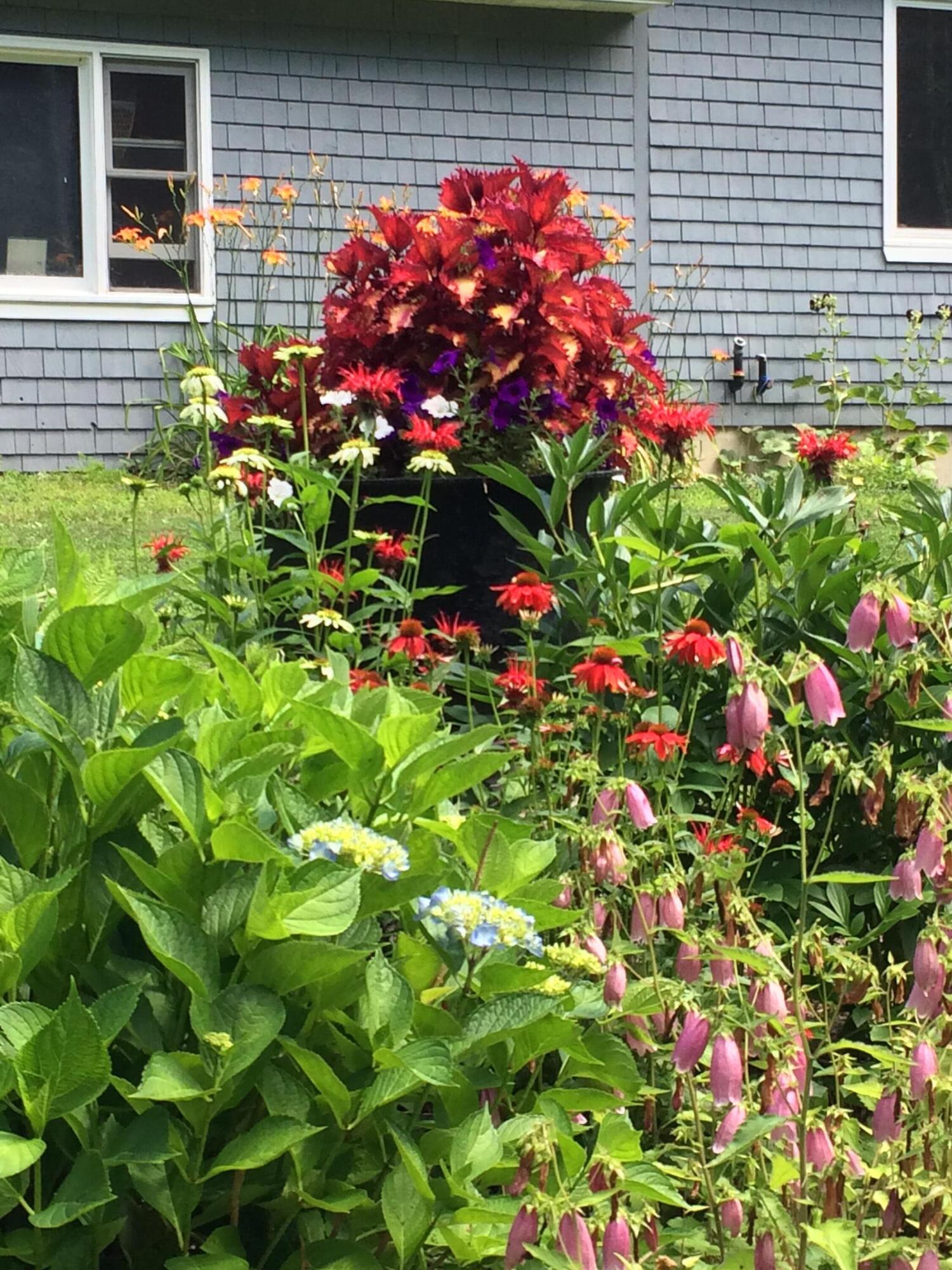 15 Goodridge Drive Rome, ME 04963 - Photo 22 of 25 Gardens
