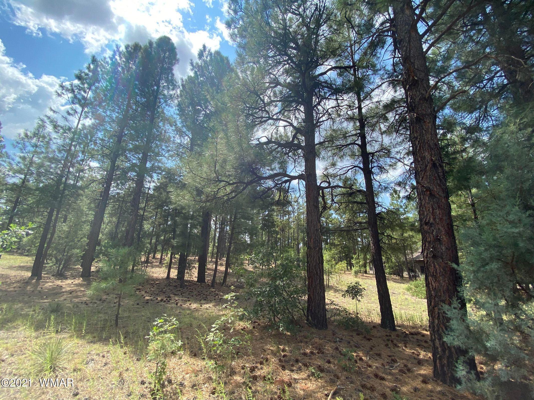3661 West Falling Leaf Road Show Low, AZ 85901 - Photo 2 of 8 Gallery Image 2