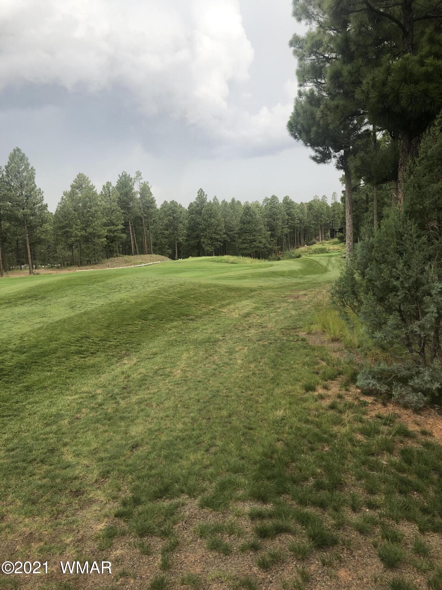 3661 West Falling Leaf Road Show Low, AZ 85901 - Photo 4 of 8 Gallery Image 4