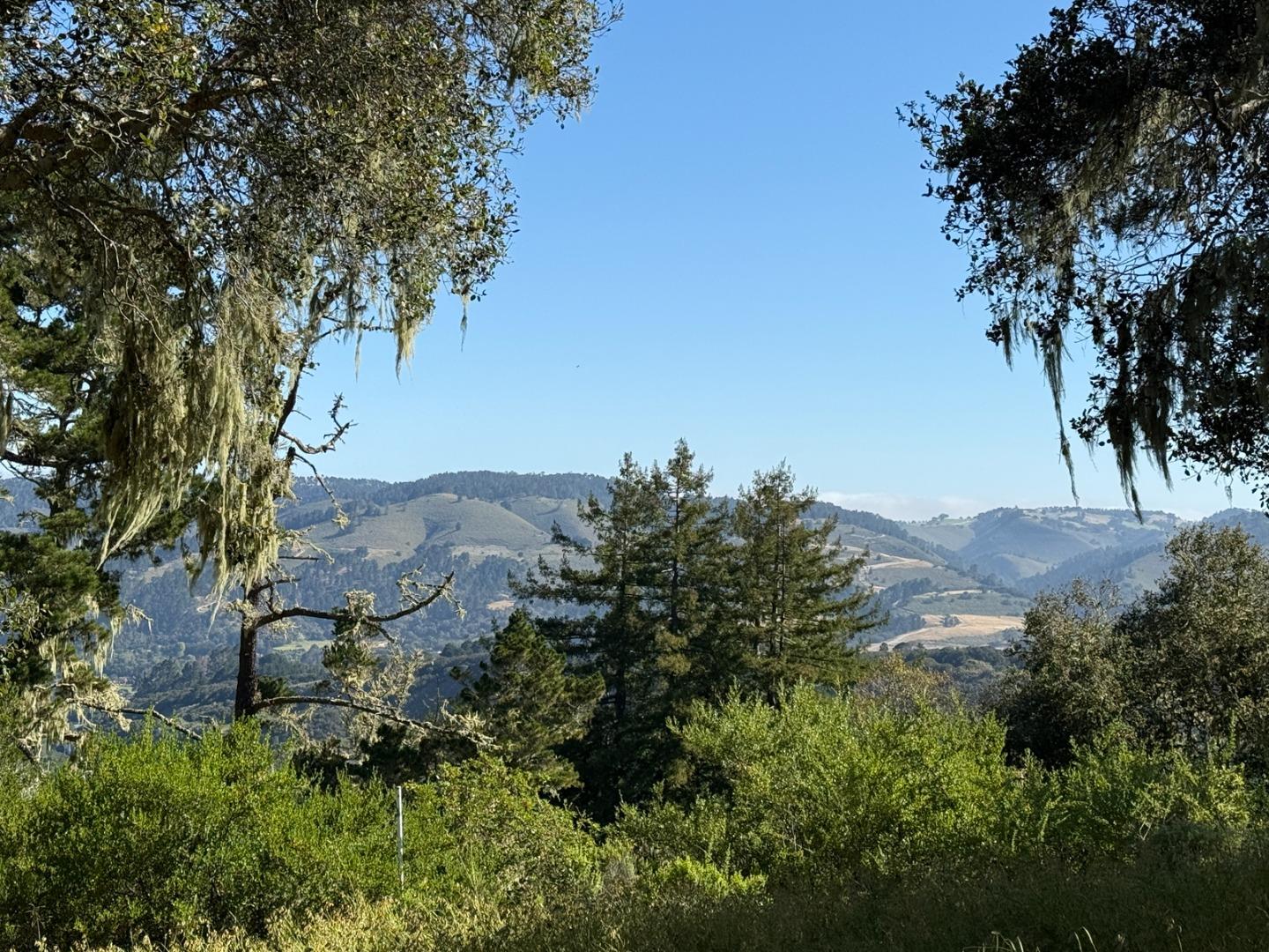6 Rancho San Carlos Road Carmel, CA 93923 - Photo 5 of 16
