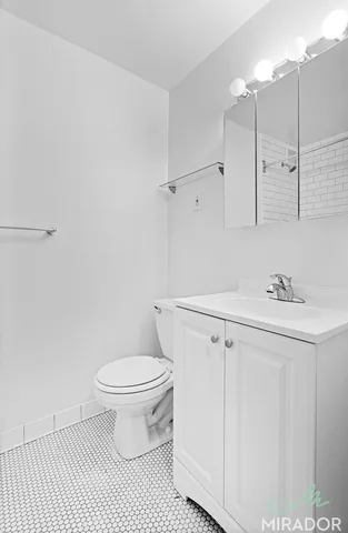 a bathroom with a sink a toilet and a shower