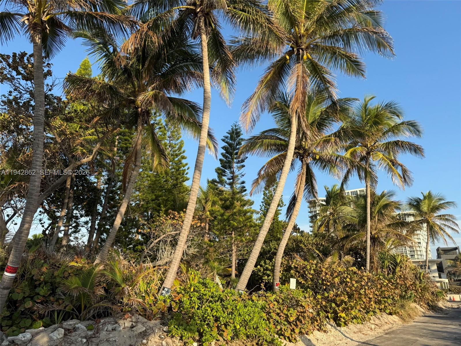 5784 North Surf Road Hollywood, FL 33019 - Photo 14 of 17