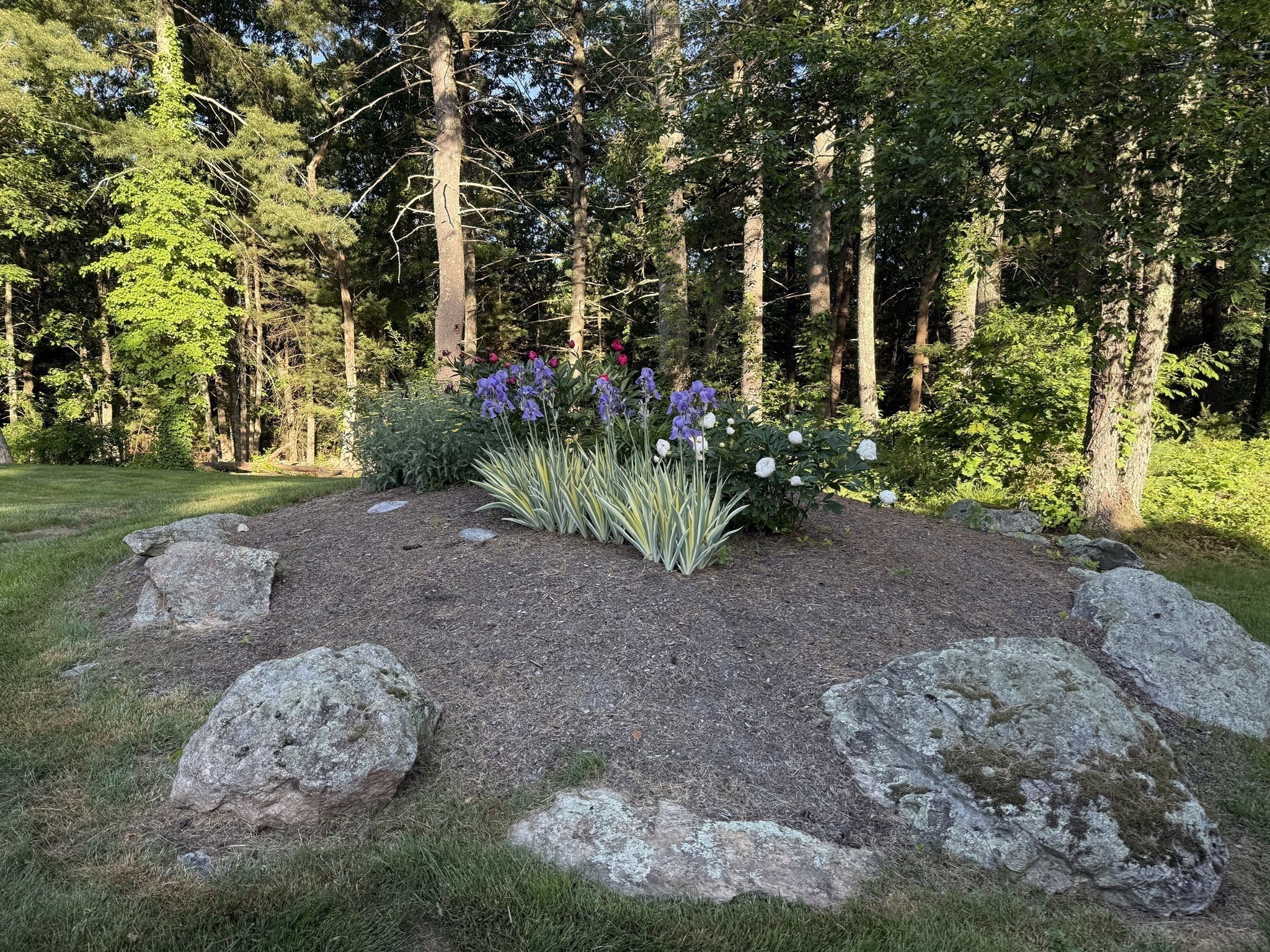 24 Great Rock Road Sherborn, MA 01770 - Photo 5 of 39 Gallery Image 5