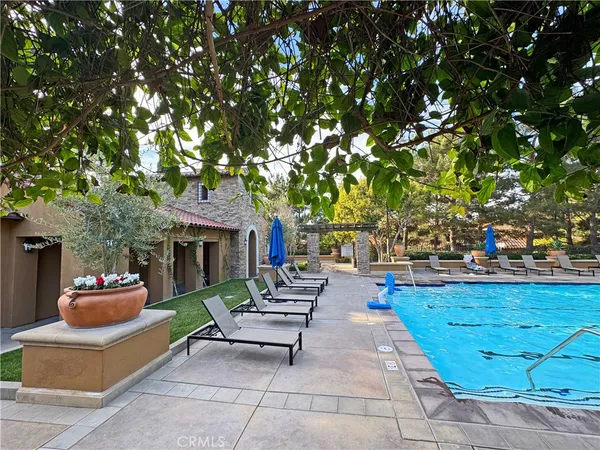 a view of a playground with a large trees