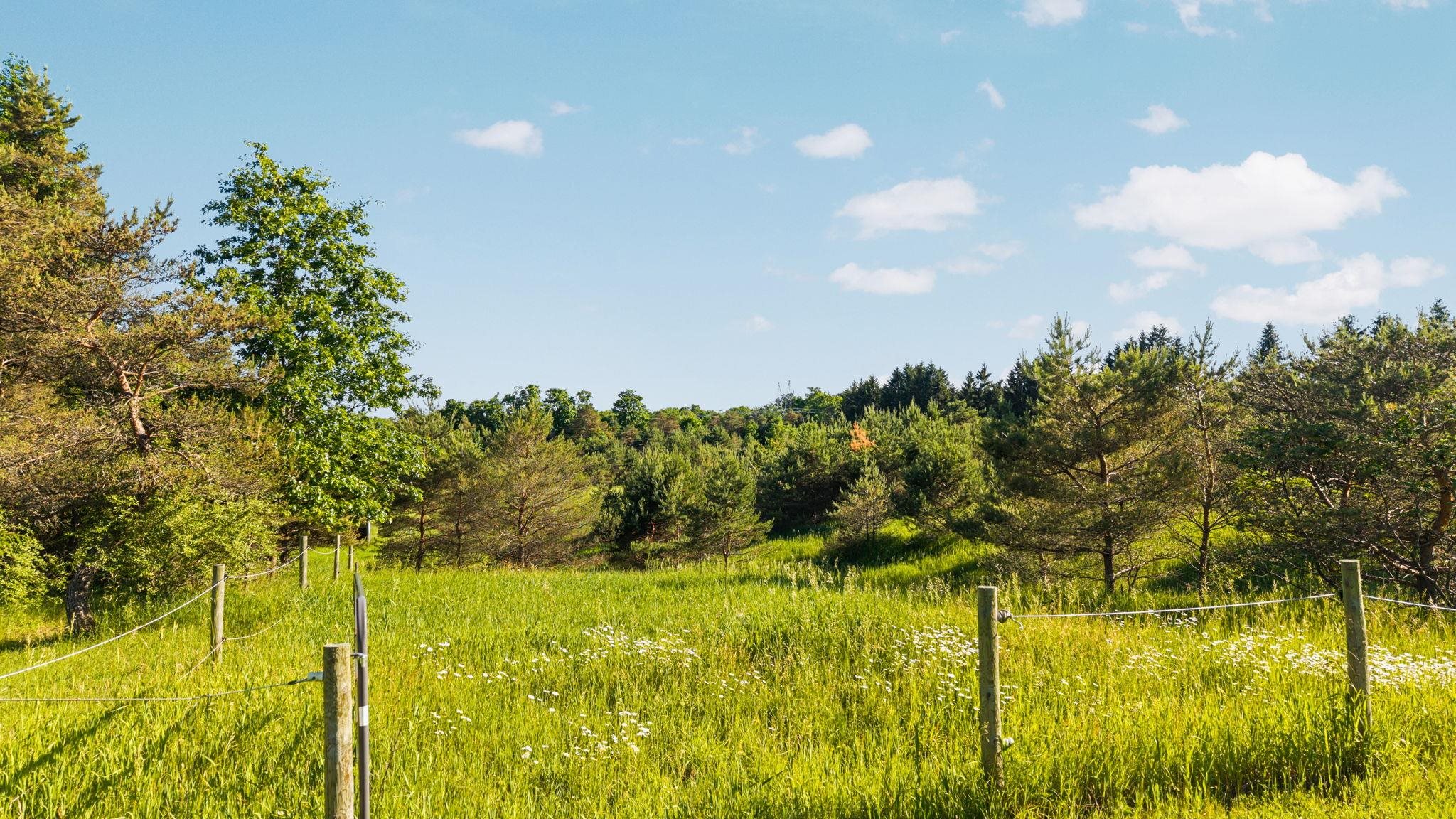 2784 Willsey Road Traverse City, MI 49696 - Photo 53 of 54