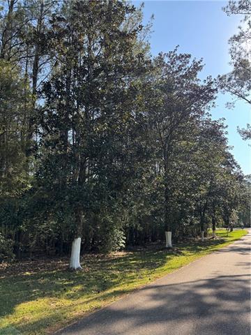 13261 Theresa Nave Road Folsom, LA 70437 - Photo 11 of 20