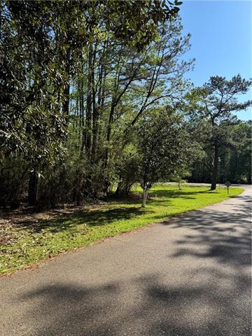 13261 Theresa Nave Road Folsom, LA 70437 - Photo 12 of 20