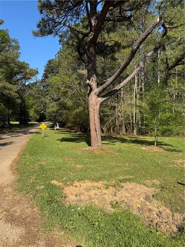 13261 Theresa Nave Road Folsom, LA 70437 - Photo 13 of 20