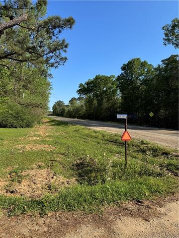 13261 Theresa Nave Road Folsom, LA 70437 - Photo 15 of 20