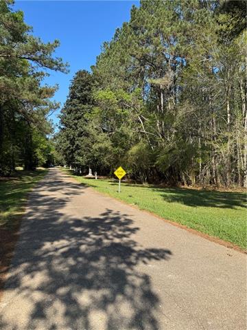 13261 Theresa Nave Road Folsom, LA 70437 - Photo 20 of 20