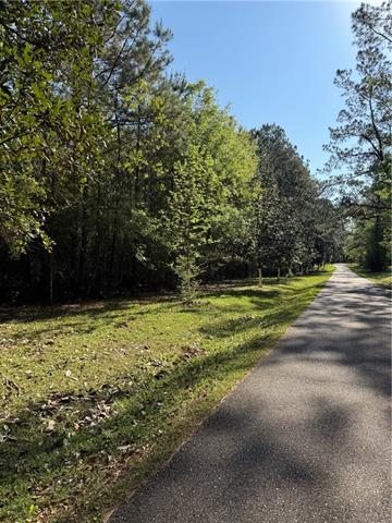 13261 Theresa Nave Road Folsom, LA 70437 - Photo 3 of 20