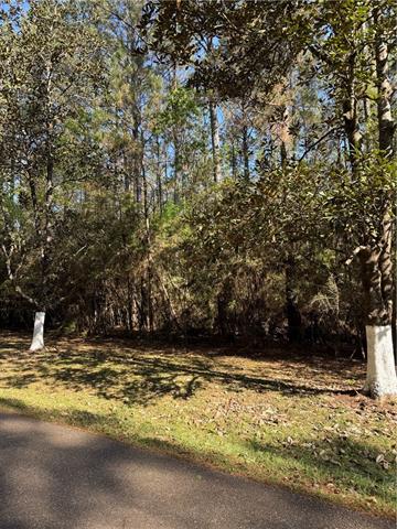 13261 Theresa Nave Road Folsom, LA 70437 - Photo 4 of 20