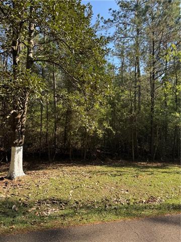 13261 Theresa Nave Road Folsom, LA 70437 - Photo 6 of 20