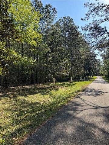 13261 Theresa Nave Road Folsom, LA 70437 - Photo 7 of 20