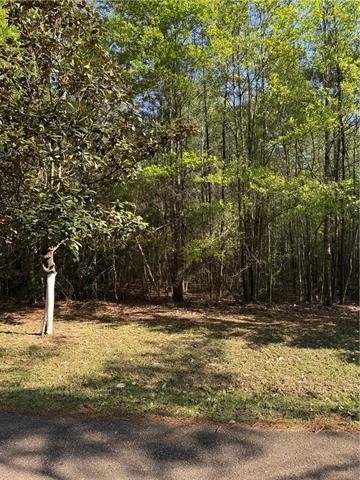 13261 Theresa Nave Road Folsom, LA 70437 - Photo 8 of 20