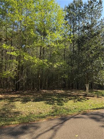 13261 Theresa Nave Road Folsom, LA 70437 - Photo 9 of 20