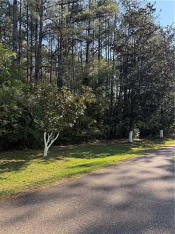 13261 Theresa Nave Road Folsom, LA 70437 - Photo 10 of 20