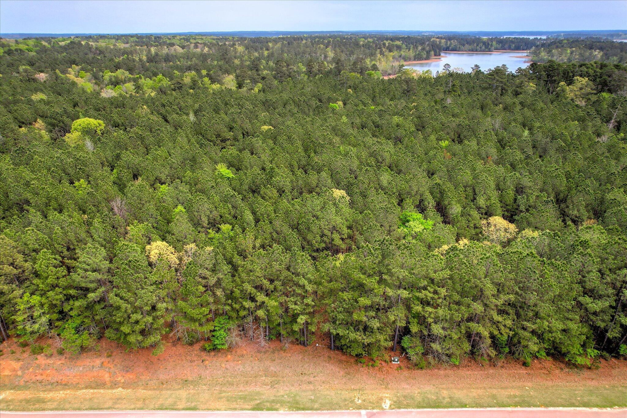 1066 Clinton-Williams Road Lincolnton, GA 30817 - Photo 2 of 5 Lot 11 Ariel