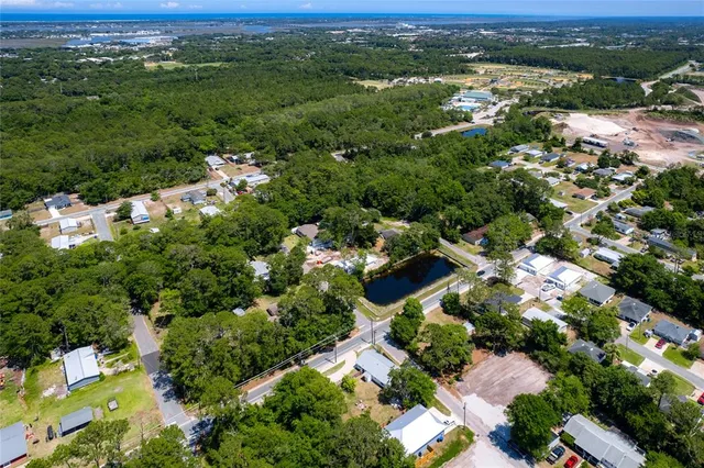 an aerial view of green landscape with trees houses and mountain view