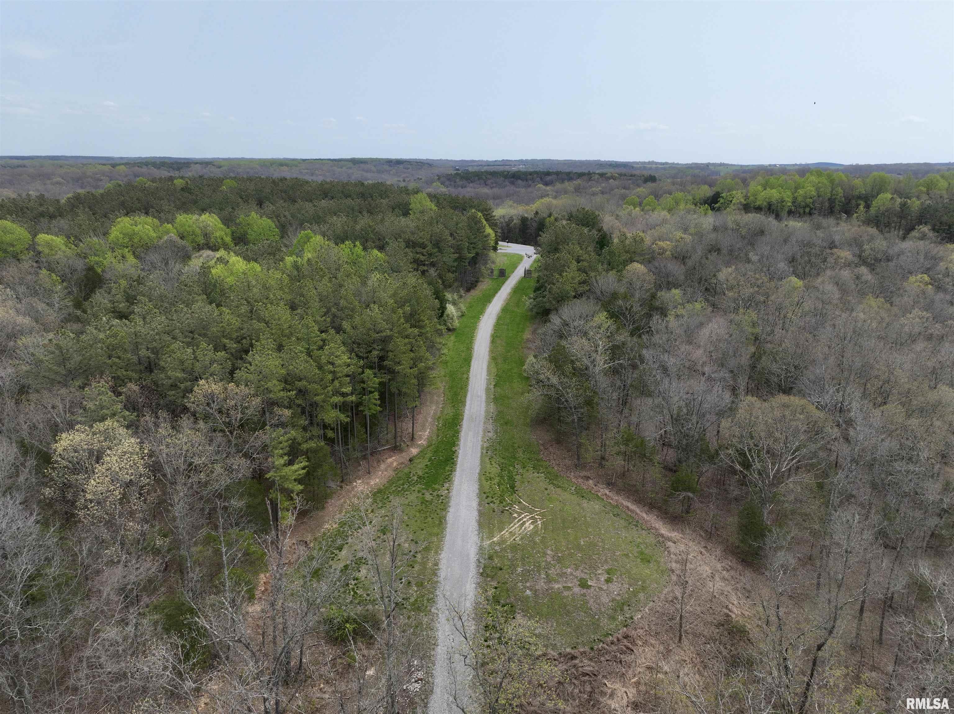 0 Parrish Ridge Lane Goreville, IL 62939 - Photo 11 of 26