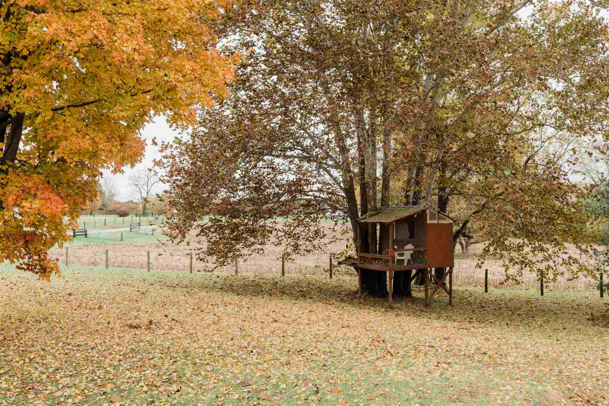 733 Hardin Ridge Road Bedford, IN 47421 - Photo 14 of 14 Gallery Image 14