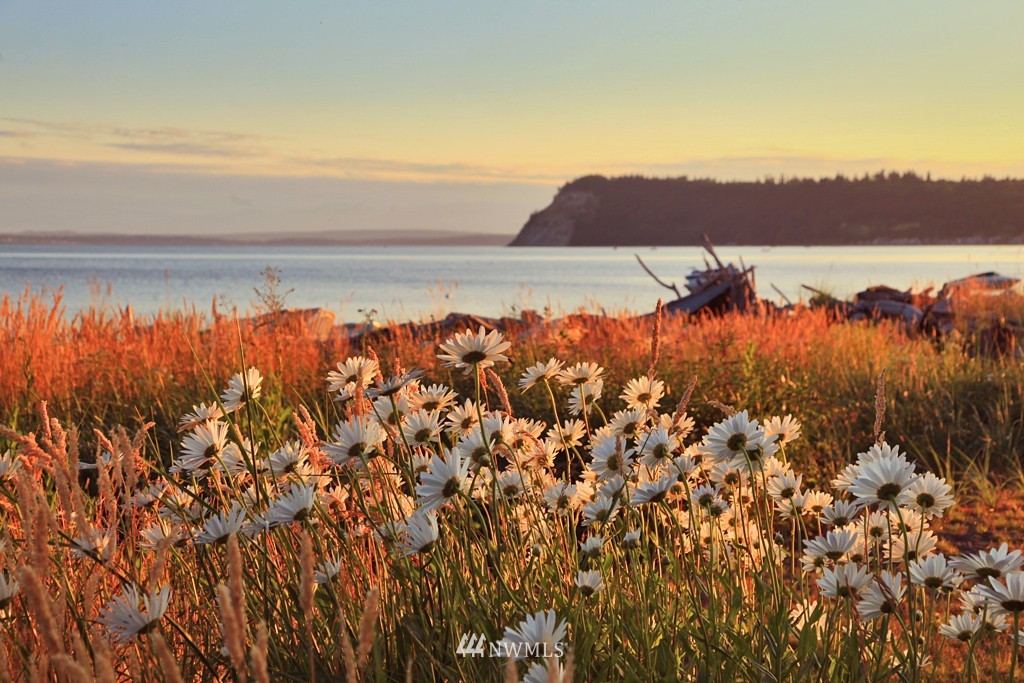 2464 Sunlight Beach Road Clinton, WA 98236 - Photo 1 of 1 Gallery Image 1