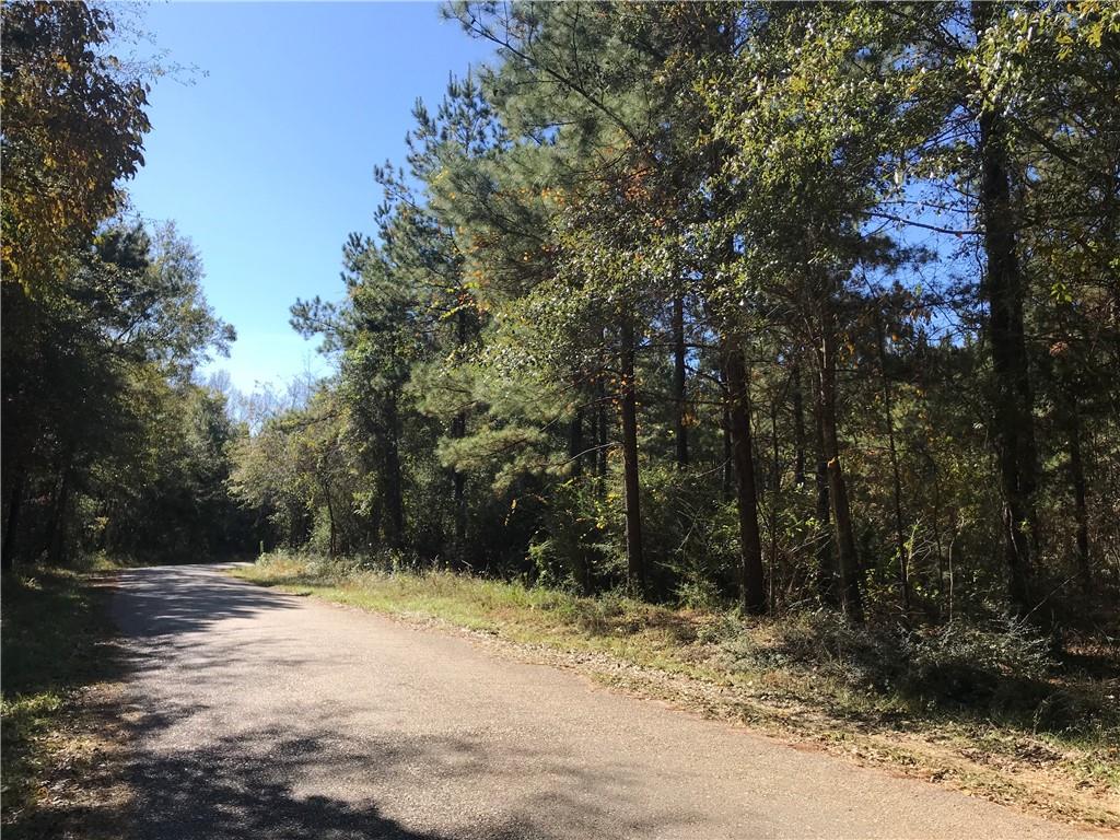 23-acres Poplarhead Road Franklinton, LA 70438 - Photo 1 of 4 Gallery Image 1
