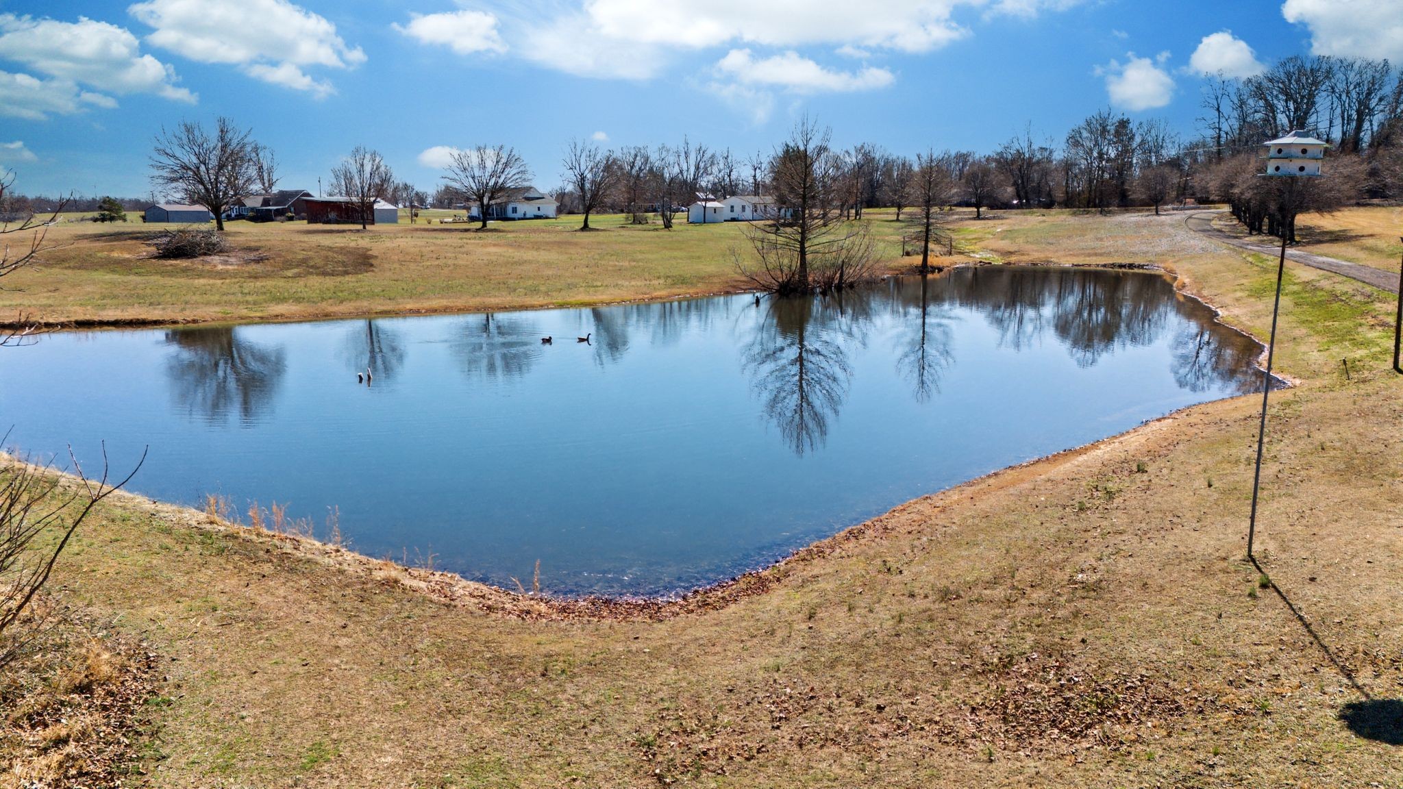 1231 Abiff Road Bon Aqua, TN 37025 - Photo 3 of 60