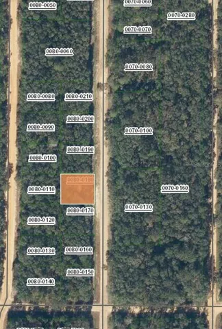 $18,000 | 1107 Usina Avenue, Interlachen, FL 32148