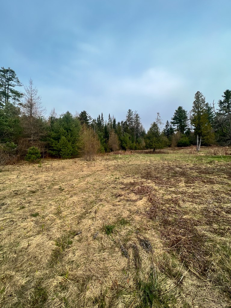 0 Swinyer Road Vermontville, NY 12989 - Photo 4 of 4