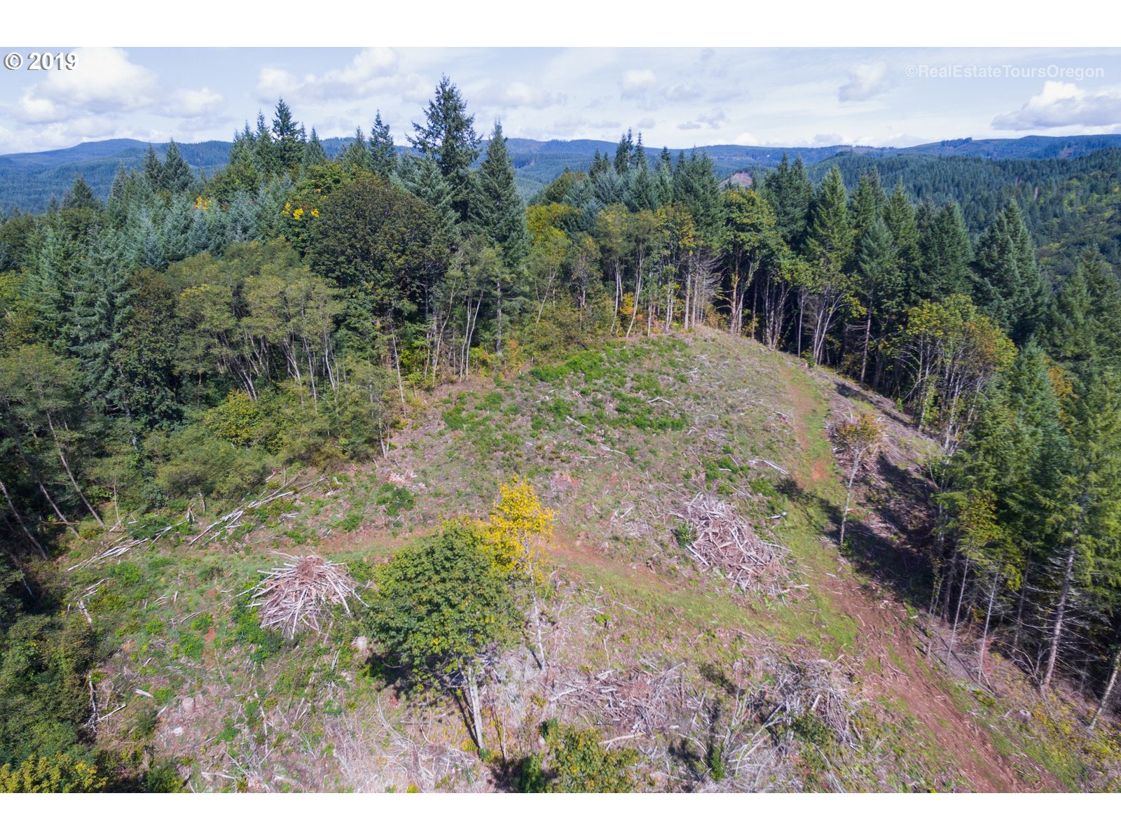 0 Northwest Fisher Road Buxton, OR 97109 - Photo 4 of 19 Gallery Image 4