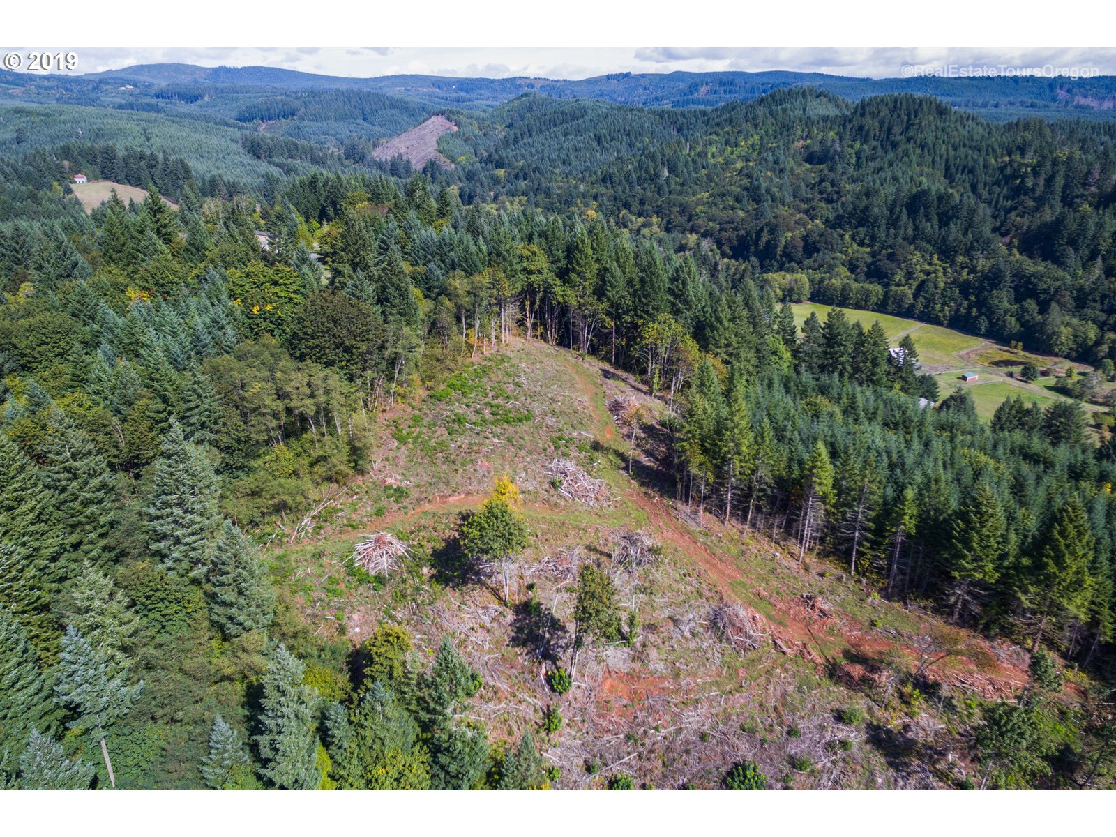 0 Northwest Fisher Road Buxton, OR 97109 - Photo 6 of 19 Gallery Image 6