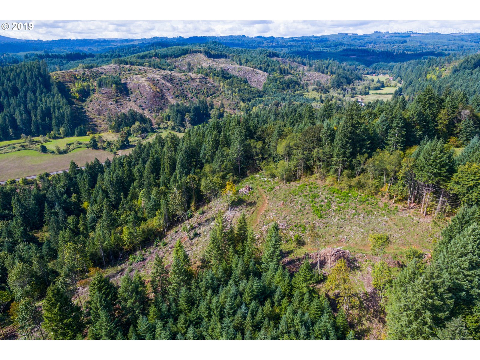 0 Northwest Fisher Road Buxton, OR 97109 - Photo 7 of 19 Gallery Image 7