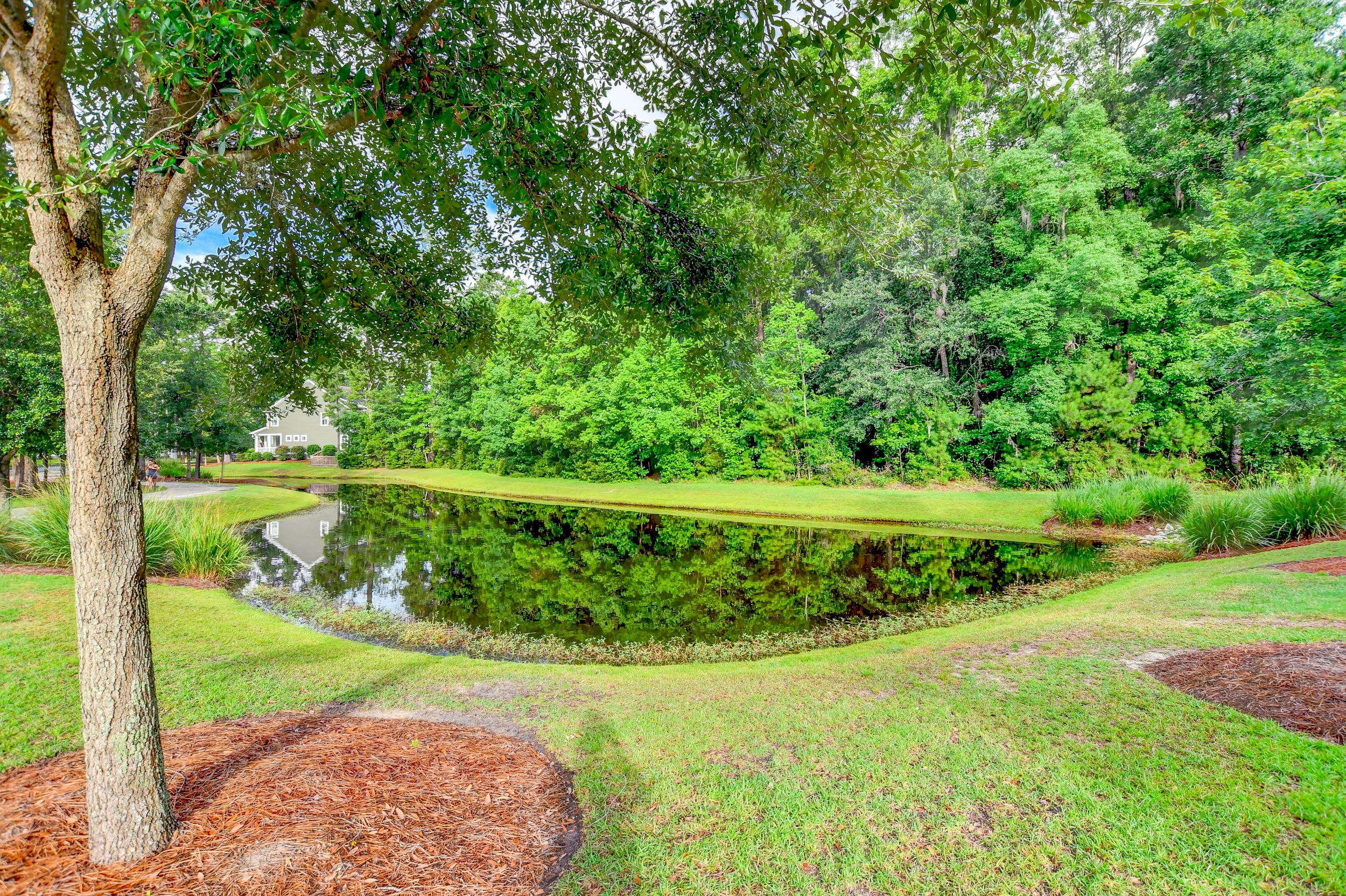 2556 Rutherford Way Charleston, SC 29414 - Photo 2 of 51 DSC_6536_7_8
