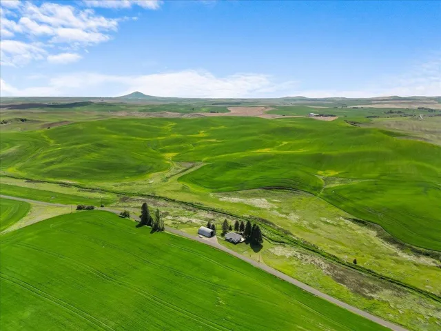 $495,000 | 1001 Auvil Road, Farmington, WA 99128