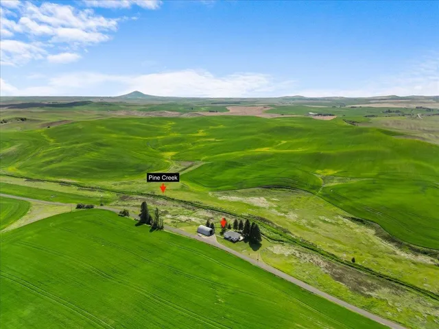 $495,000 | 1001 Auvil Road, Farmington, WA 99128