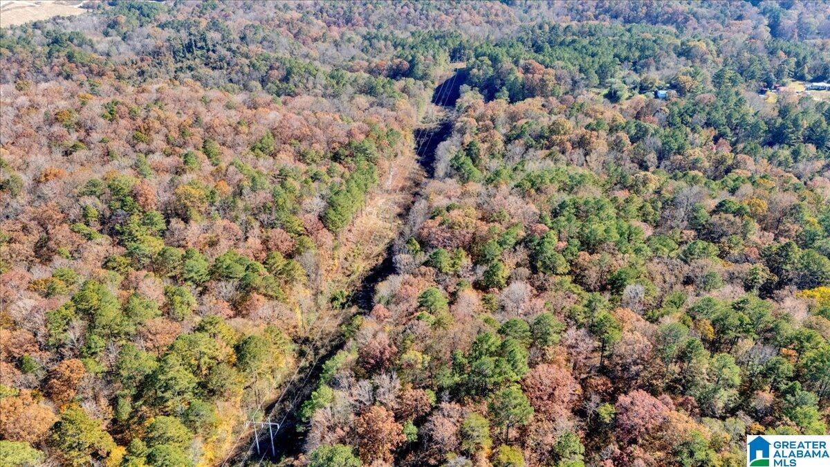 0 Hammock Road Trussville, AL 35173 - Photo 28 of 31