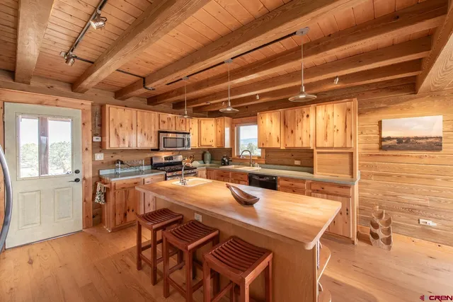 $1,374,900 | 830 Tiyoweh Trail, Montrose, CO 81403