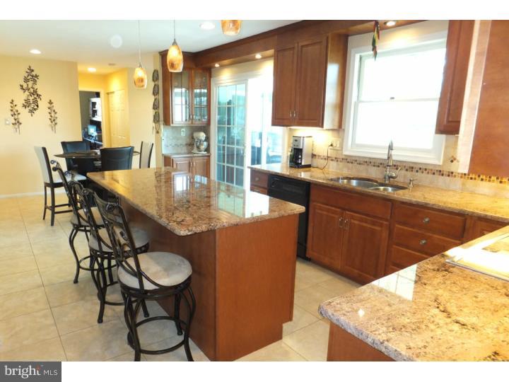 165 Spring Flower Court Huntingdon Valley, PA 19006 - Photo 7 of 24 Kitchen