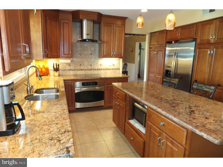 165 Spring Flower Court Huntingdon Valley, PA 19006 - Photo 8 of 24 Kitchen