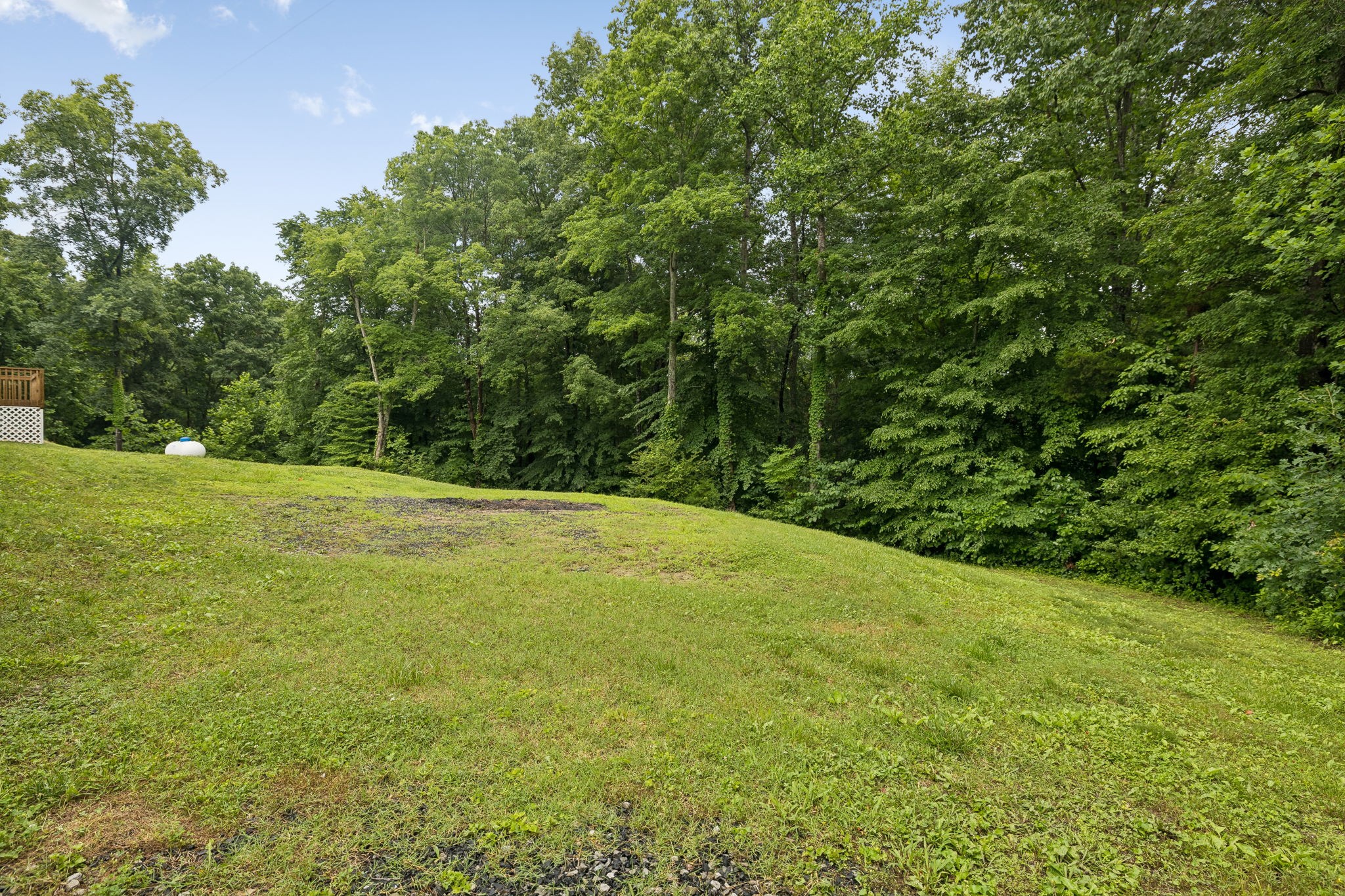 7916 East Plunders Creek Road Dickson, TN 37055 - Photo 46 of 52