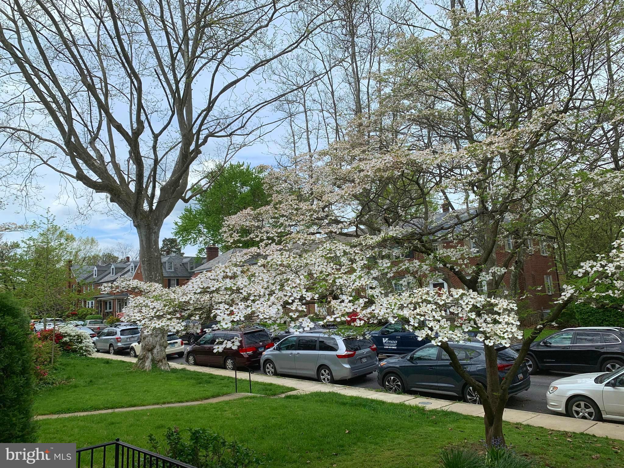 225 Murdock Road Baltimore, MD 21212 - Photo 39 of 42 Front Flowering Tree Blooms in the Spring!