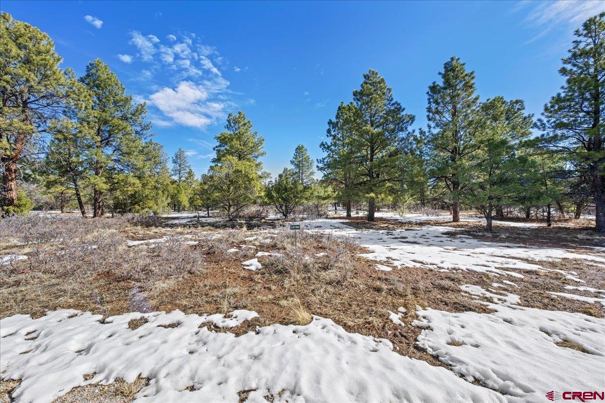 Tbd Lot 564 Tbd Ridgway, CO 81432 - Photo 11 of 14 a view of outdoor space with trees