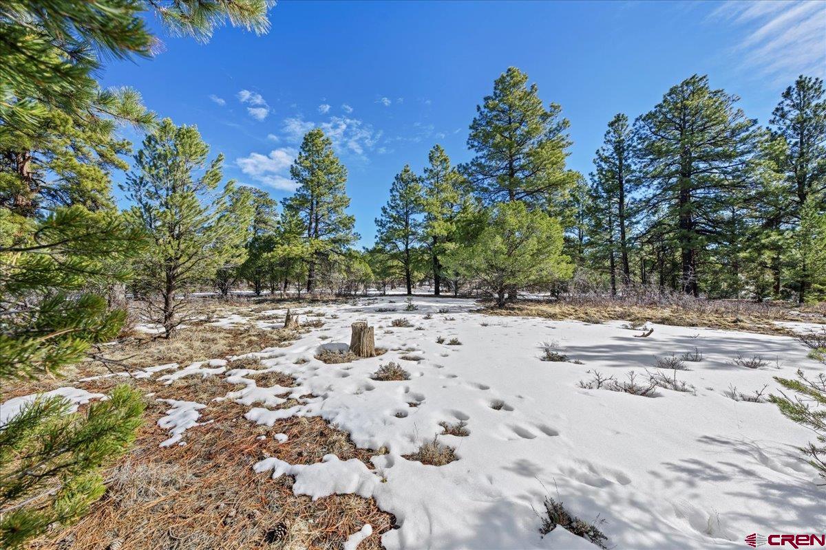 Tbd Lot 564 Tbd Ridgway, CO 81432 - Photo 12 of 14 a view of yard covered with snow in middle of a yard