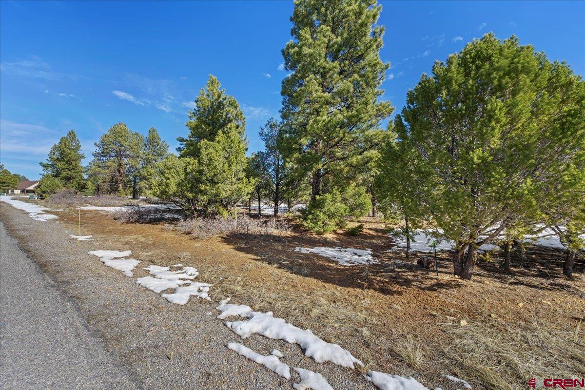 Tbd Lot 564 Tbd Ridgway, CO 81432 - Photo 13 of 14 a view of a yard with plants and trees