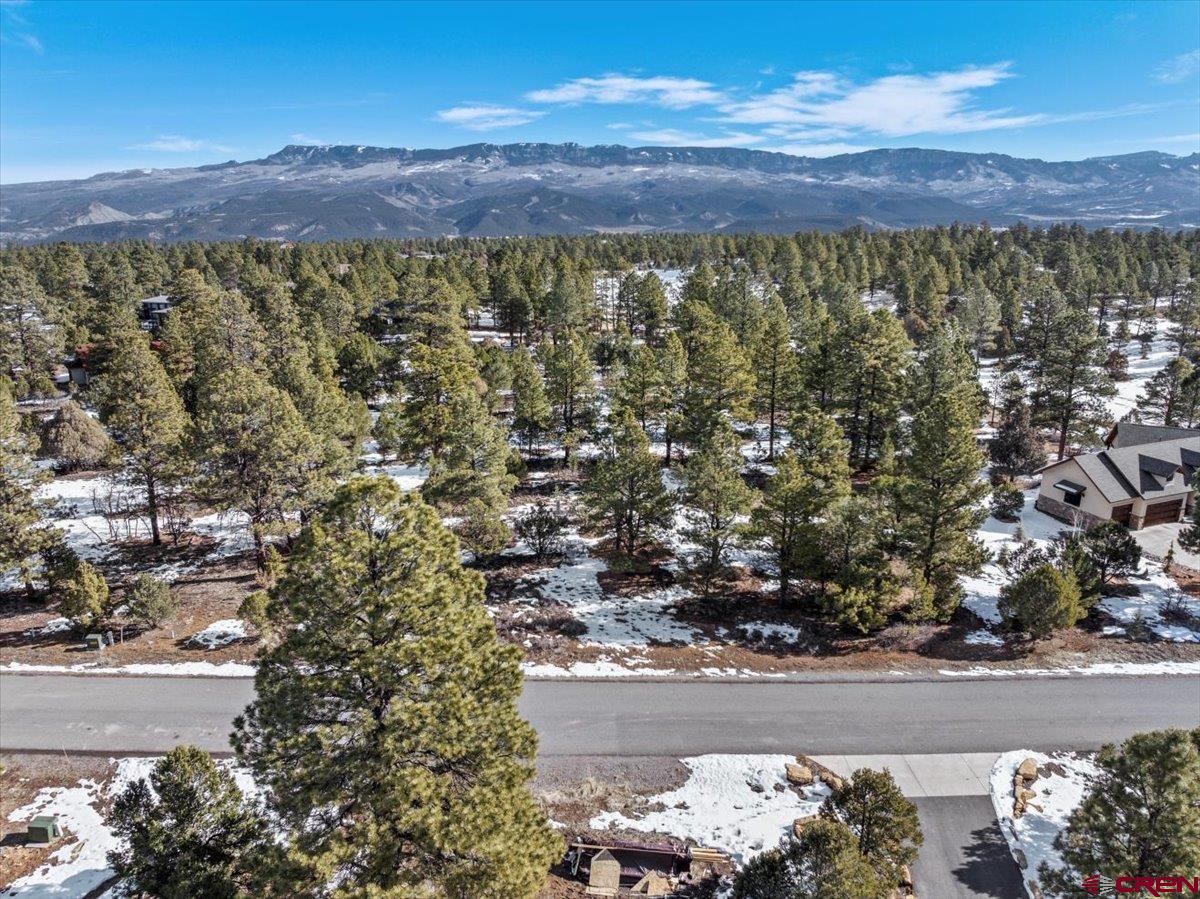 Tbd Lot 564 Tbd Ridgway, CO 81432 - Photo 2 of 14 a view of a and a yard