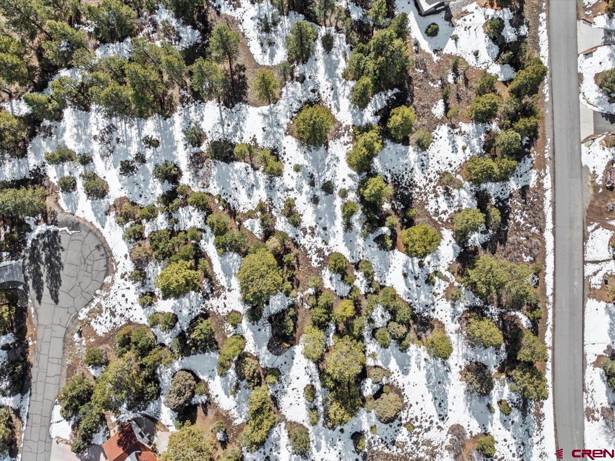 Tbd Lot 564 Tbd Ridgway, CO 81432 - Photo 6 of 14