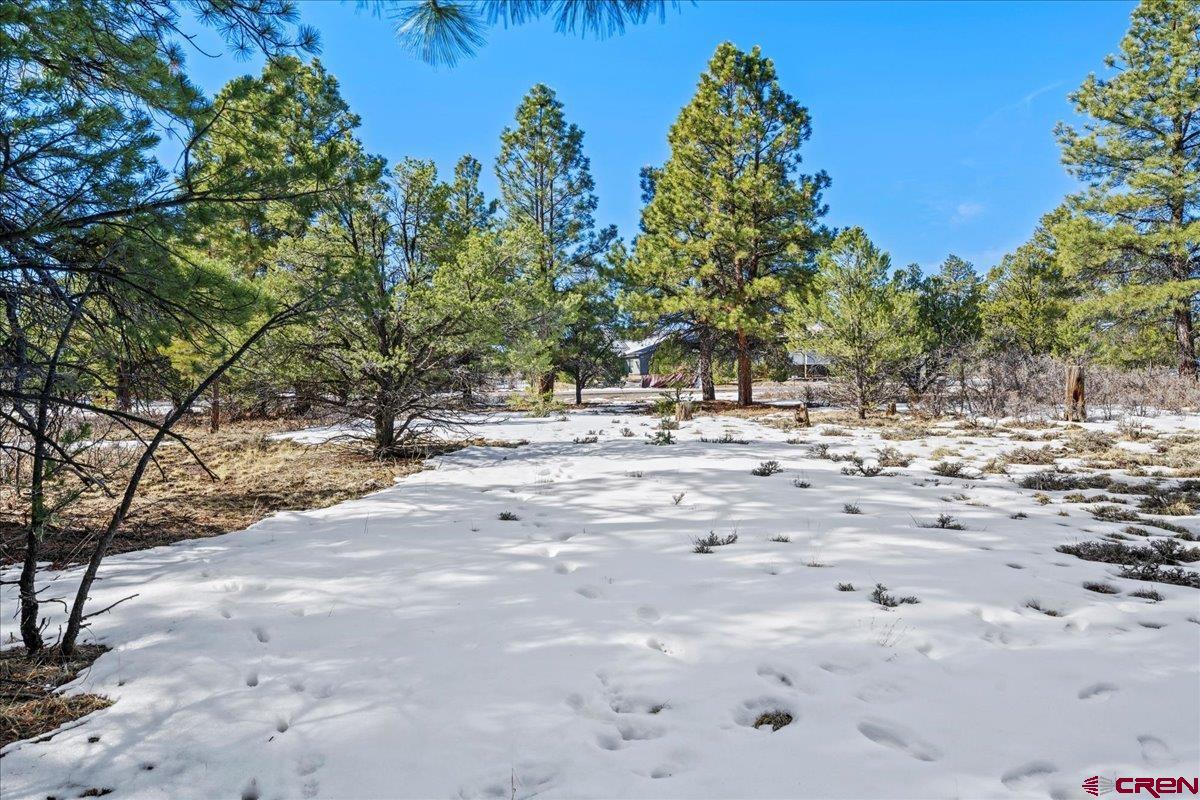 Tbd Lot 564 Tbd Ridgway, CO 81432 - Photo 8 of 14 a view of road with large trees