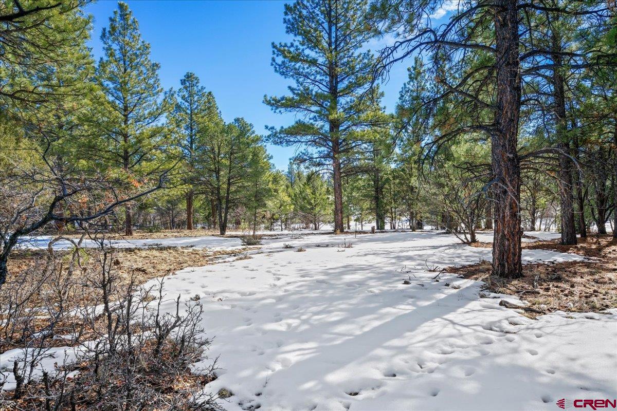Tbd Lot 564 Tbd Ridgway, CO 81432 - Photo 9 of 14 a view of a yard with a tree