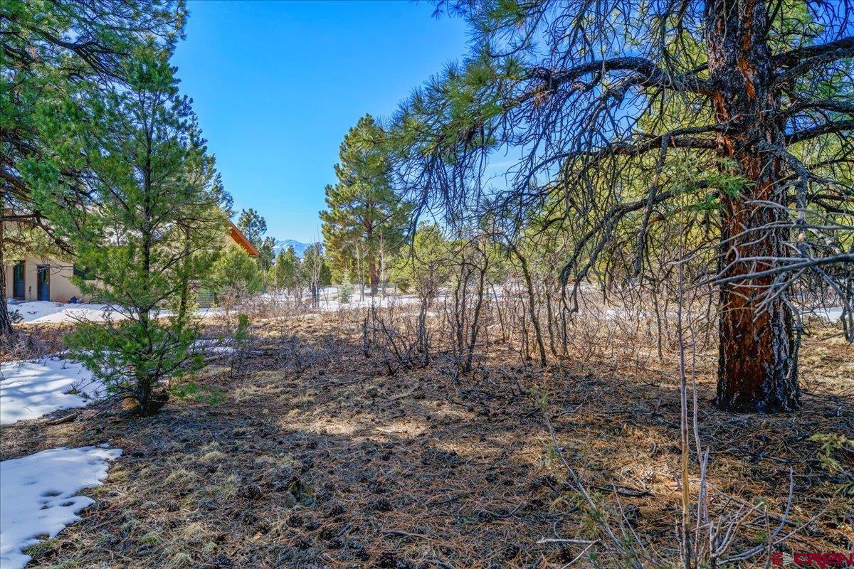 Tbd Lot 564 Tbd Ridgway, CO 81432 - Photo 10 of 14 a view of backyard with large trees